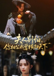 夫人别怕，你相公我曾横扫天下(全集)