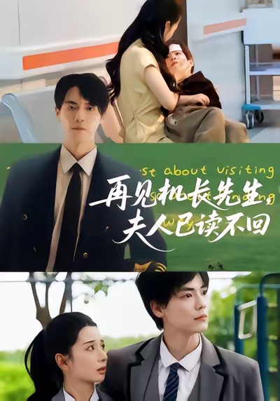 再见机长先生夫人已读不回(全集)