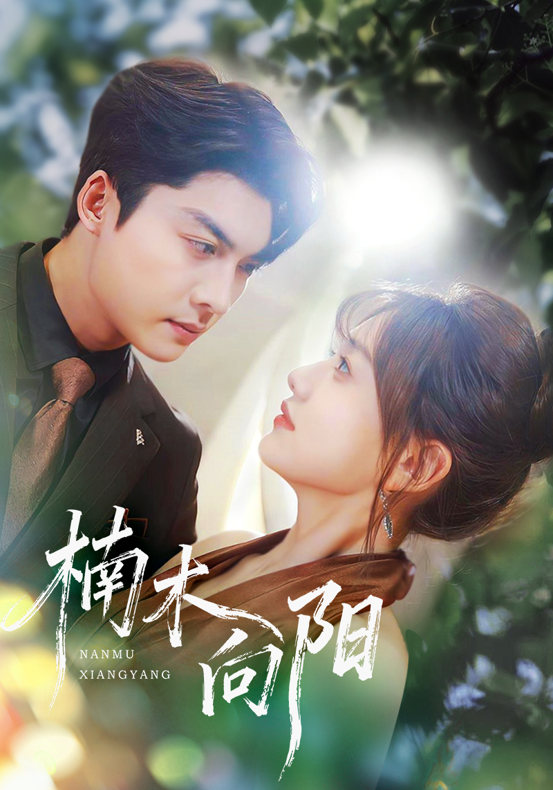 楠木向阳(全集)